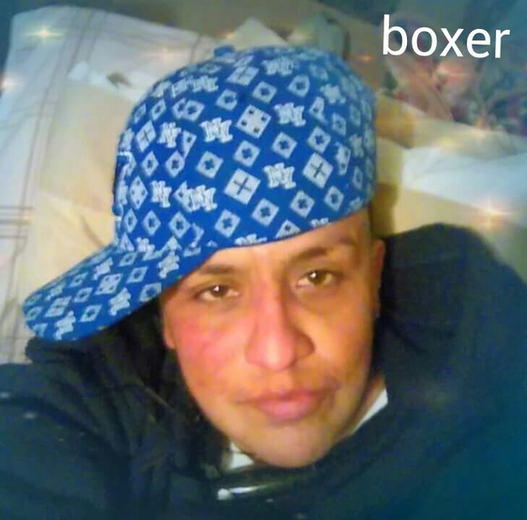 boxerbabee